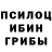 Псилоцибиновые грибы прущие грибы Joy Balonda