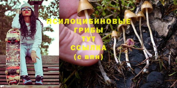 винт Верхний Тагил