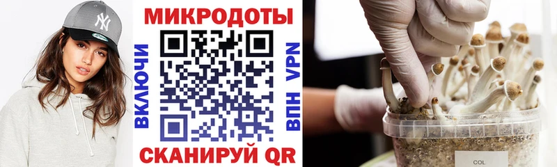 Псилоцибиновые грибы MAGIC MUSHROOMS  Ворсма 